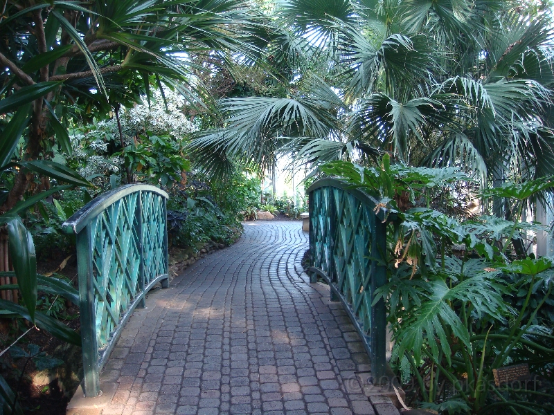 Western Michigan [2009] 183.JPG - Scenes from Frederik Meijer Gardens & Sculpture Park.